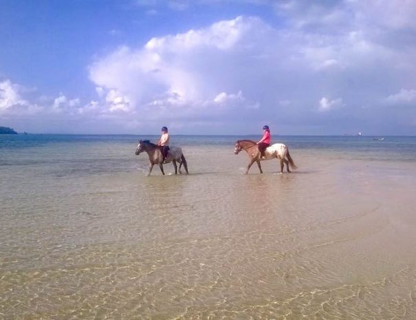 Zanzibar Horseback Riding Adventure