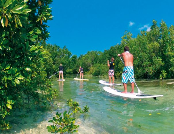 Zanzibar Mangrove Ecosystem Paddleboard Tour